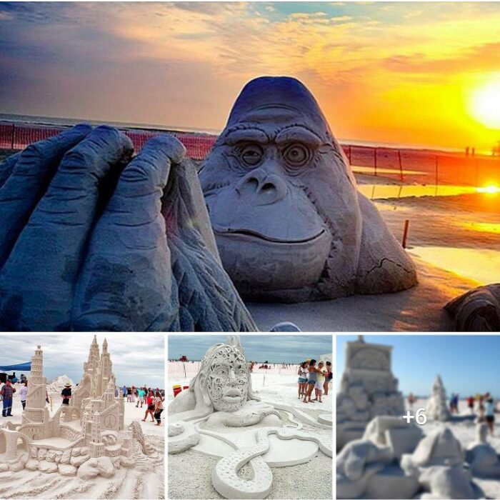 Discover the Enigmatic Sand Art of Siesta Key Crystal Classic